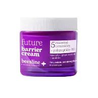 BEESLINE FUTURE BARRIER