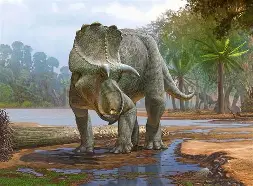 PUR ANNEAU DINASAUR