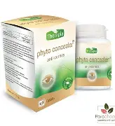THERAPIA PHYTO CONCEALER