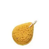 WEE EPONGE DE BAIN EN CELLULOSE